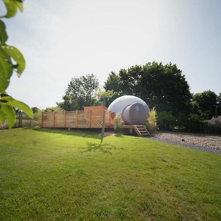 Bulles Odette & Ginette Et Tiny House Suzette "Au Guet Marais" Etape Insolite Paliseul ภายนอก รูปภาพ