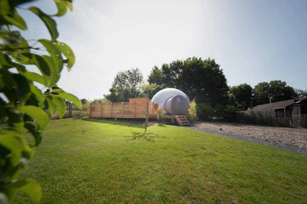Bulles Odette & Ginette Et Tiny House Suzette "Au Guet Marais" Etape Insolite Paliseul ภายนอก รูปภาพ