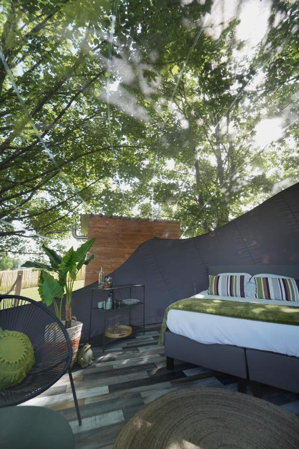 Bulles Odette & Ginette Et Tiny House Suzette "Au Guet Marais" Etape Insolite Paliseul ภายนอก รูปภาพ