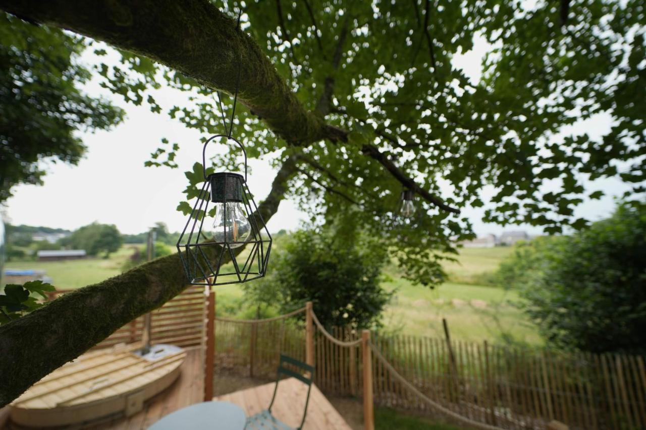 Bulles Odette & Ginette Et Tiny House Suzette "Au Guet Marais" Etape Insolite Paliseul ภายนอก รูปภาพ