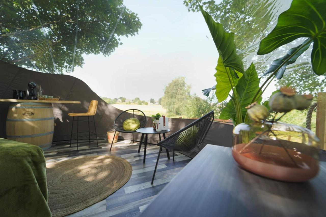 Bulles Odette & Ginette Et Tiny House Suzette "Au Guet Marais" Etape Insolite Paliseul ภายนอก รูปภาพ
