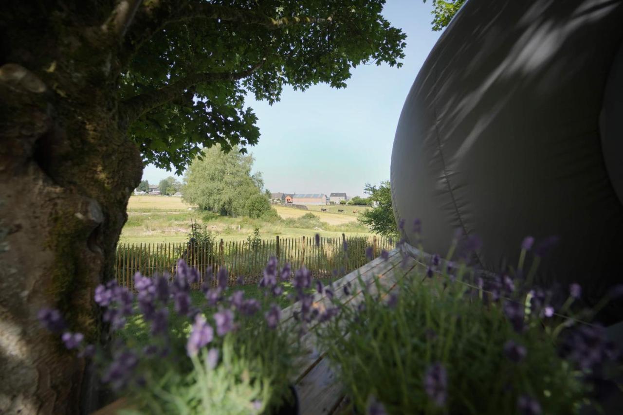 Bulles Odette & Ginette Et Tiny House Suzette "Au Guet Marais" Etape Insolite Paliseul ภายนอก รูปภาพ