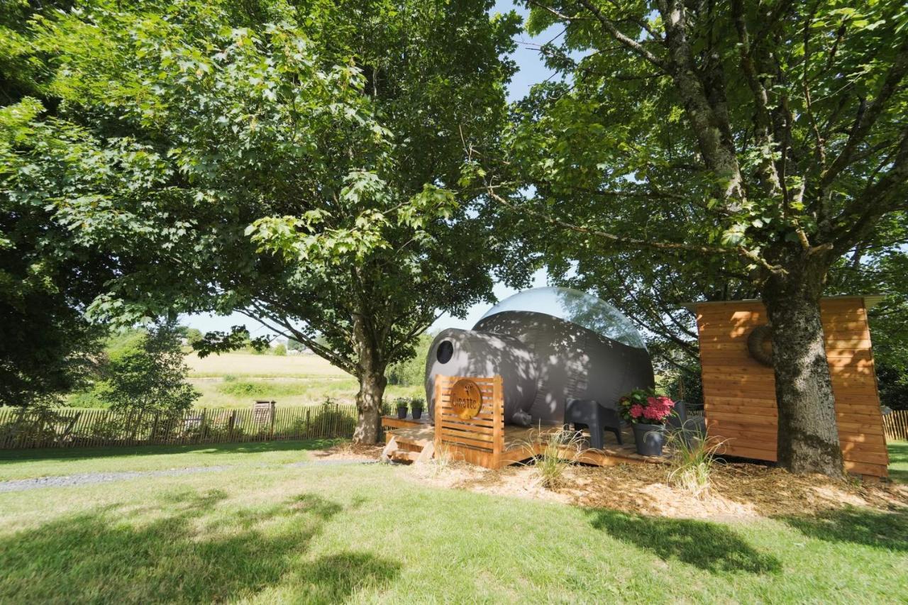Bulles Odette & Ginette Et Tiny House Suzette "Au Guet Marais" Etape Insolite Paliseul ภายนอก รูปภาพ